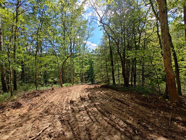 LOT3 Megan Trace Dr, Turtletown, TN 37391