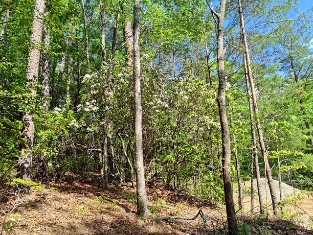 LOT3 Megan Trace Dr, Turtletown, TN 37391