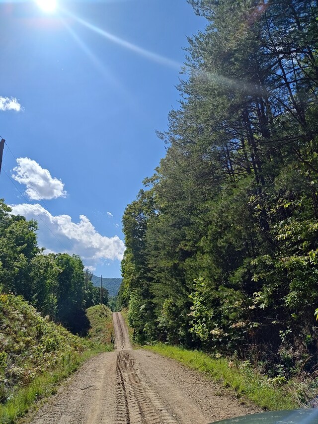 LOT3 Megan Trace Dr, Turtletown, TN 37391