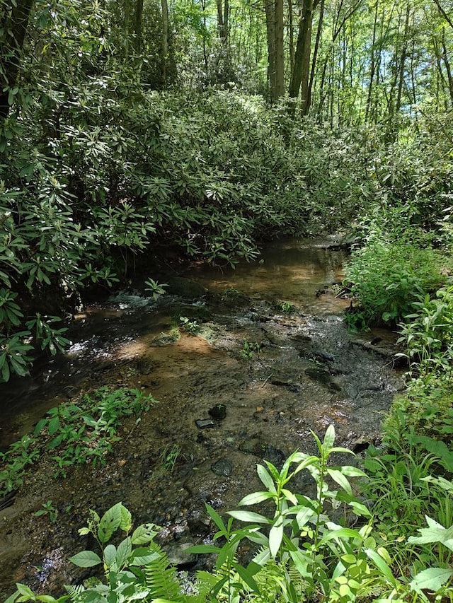 LOT3 Megan Trace Dr, Turtletown, TN 37391