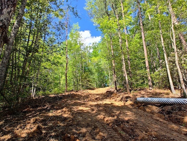 LOT3 Megan Trace Dr, Turtletown, TN 37391