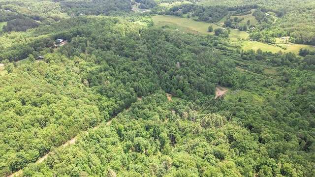 LOT3 Megan Trace Dr, Turtletown, TN 37391