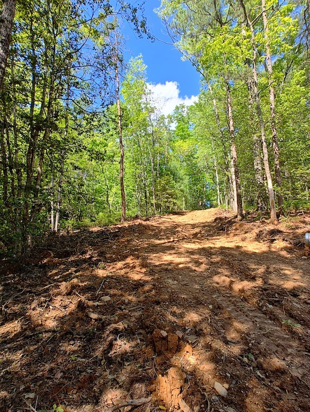 LOT3 Megan Trace Dr, Turtletown, TN 37391