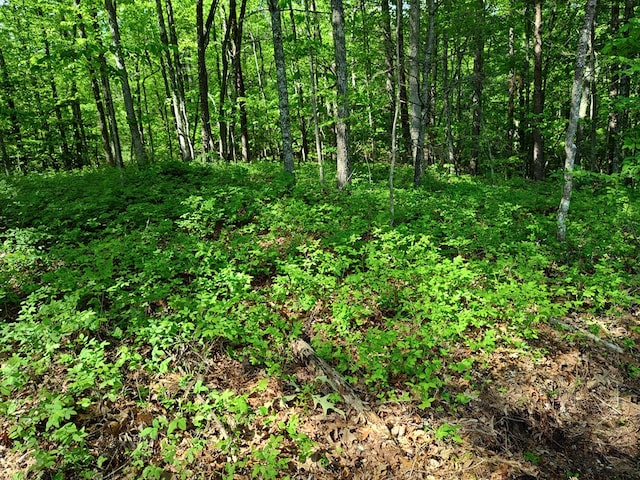 LOT3 Megan Trace Dr, Turtletown, TN 37391