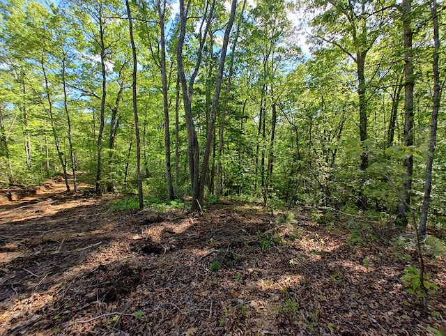 LOT3 Megan Trace Dr, Turtletown, TN 37391