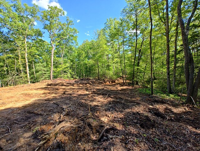 LOT3 Megan Trace Dr, Turtletown, TN 37391