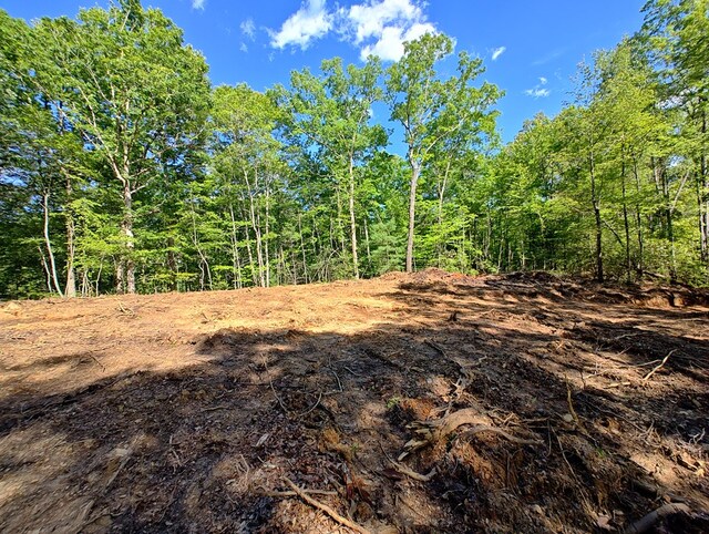 LOT3 Megan Trace Dr, Turtletown, TN 37391