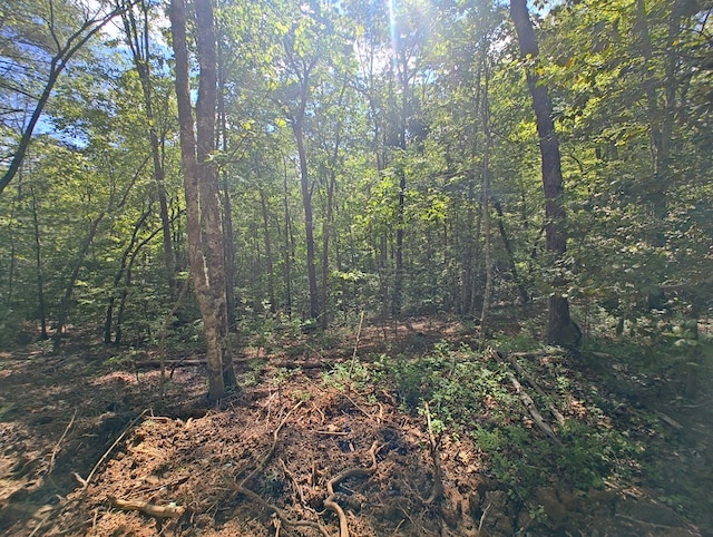 LOT3 Megan Trace Dr, Turtletown, TN 37391