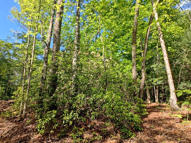 LOT3 Megan Trace Dr, Turtletown, TN 37391