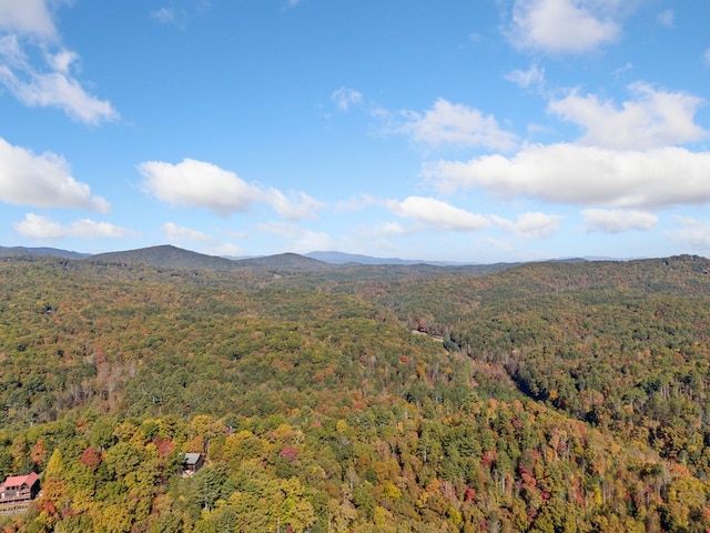 property view of mountains