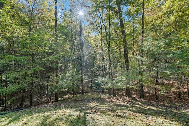 view of local wilderness