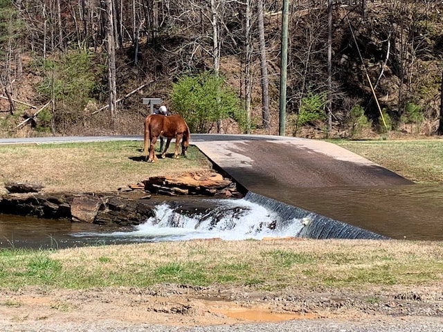 Listing photo 2 for 0 Oglethorpe Mountain Rd, Jasper GA 30143