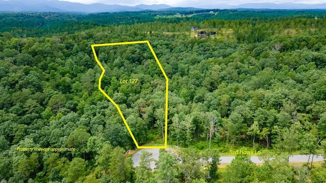 Listing photo 2 for LT.127 Red Hawk Trl, Ellijay GA 30536