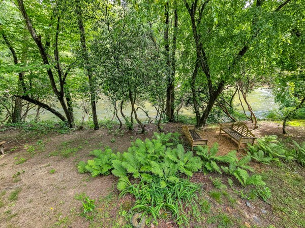 view of landscape