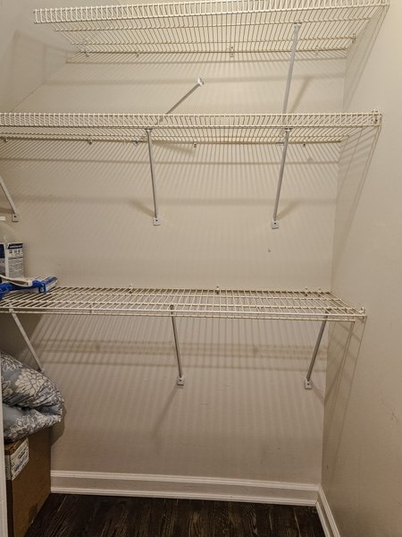 walk in closet with dark wood finished floors