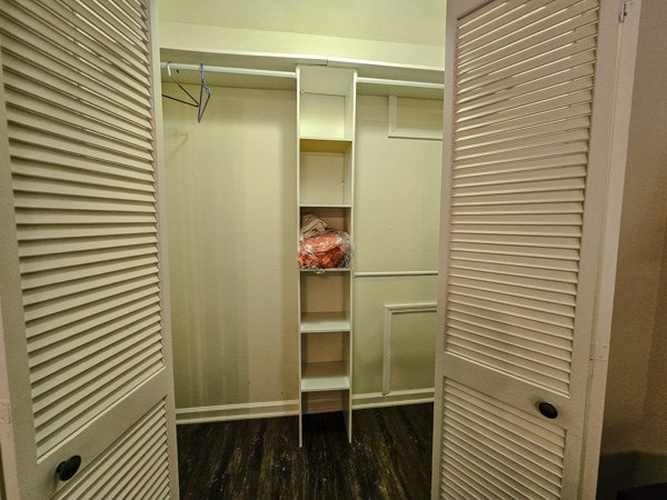 view of closet