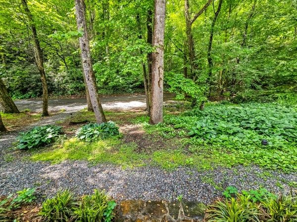 view of yard featuring a forest view