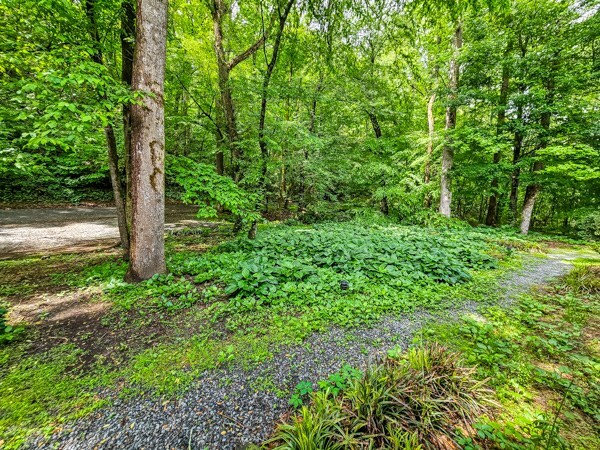 view of local wilderness featuring a wooded view