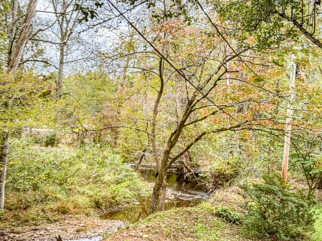 390 Pinebark Ln, Murphy, NC 28906 - view of tree filled area