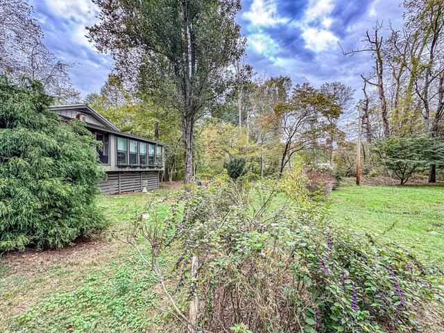 390 Pinebark Ln, Murphy, NC 28906 - view of grassy yard