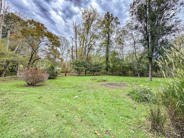 390 Pinebark Ln, Murphy, NC 28906 - view of grassy yard