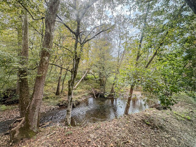 390 Pinebark Ln, Murphy, NC 28906 - water view