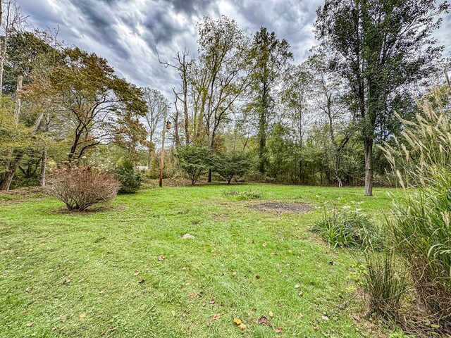 390 Pinebark Ln, Murphy, NC 28906 - view of green lawn