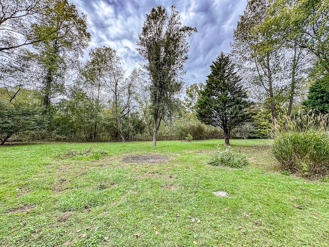 390 Pinebark Ln, Murphy, NC 28906 - view of green lawn featuring a wooded view