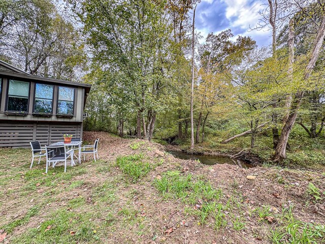390 Pinebark Ln, Murphy, NC 28906 - view of yard