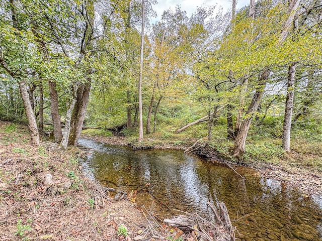 390 Pinebark Ln, Murphy, NC 28906 - water view
