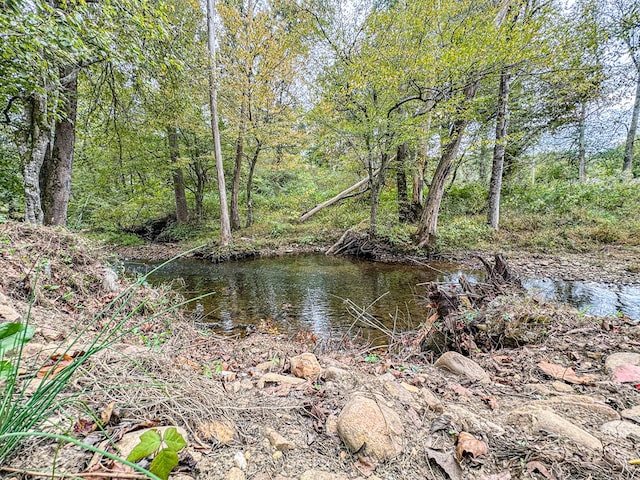 390 Pinebark Ln, Murphy, NC 28906 - water view