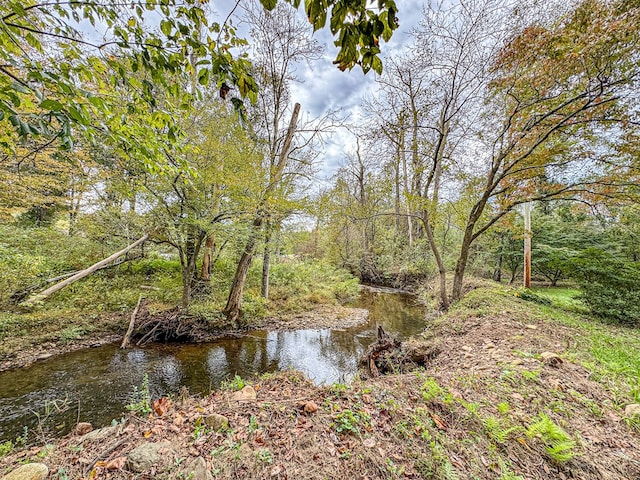 390 Pinebark Ln, Murphy, NC 28906 - water view