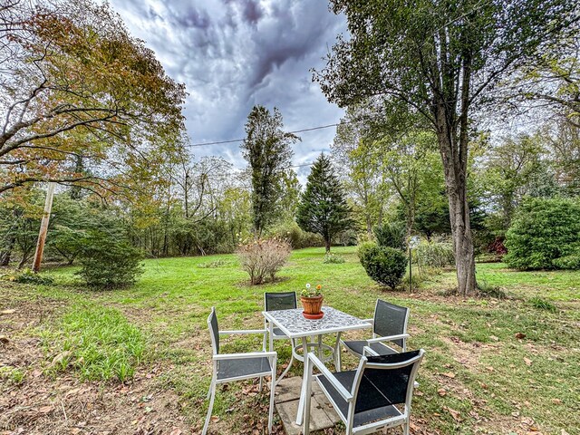 390 Pinebark Ln, Murphy, NC 28906 - view of grassy yard
