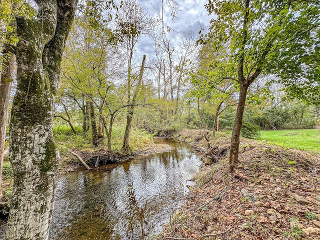 390 Pinebark Ln, Murphy, NC 28906 - water view