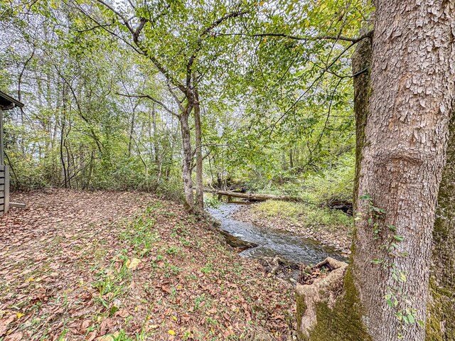 390 Pinebark Ln, Murphy, NC 28906 - view of woods