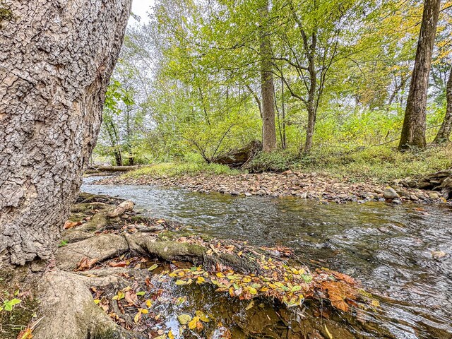 390 Pinebark Ln, Murphy, NC 28906 - water view