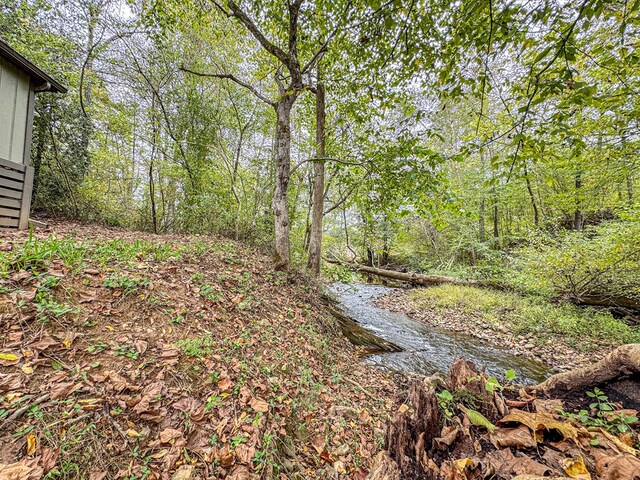 390 Pinebark Ln, Murphy, NC 28906 - view of nature