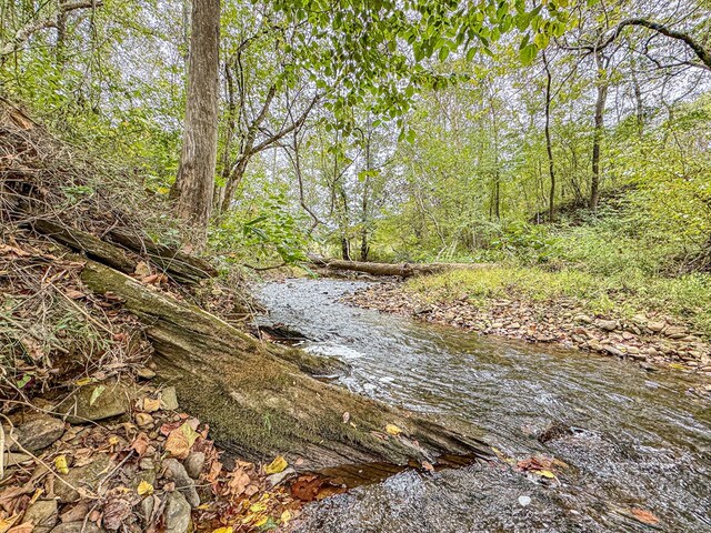 390 Pinebark Ln, Murphy, NC 28906 - water view
