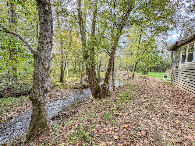 390 Pinebark Ln, Murphy, NC 28906 - view of yard