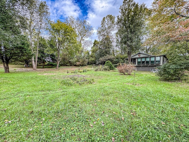 390 Pinebark Ln, Murphy, NC 28906 - view of grassy yard