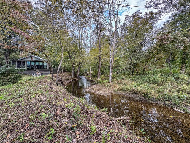 390 Pinebark Ln, Murphy, NC 28906 - view of yard