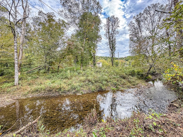 390 Pinebark Ln, Murphy, NC 28906 - water view