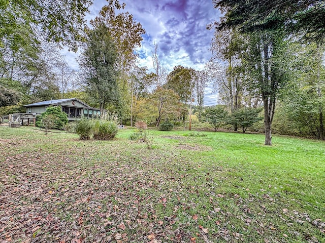 390 Pinebark Ln, Murphy, NC 28906 - view of green lawn