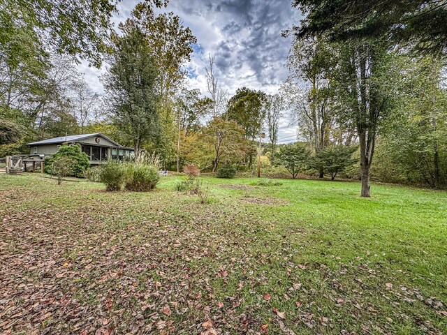 390 Pinebark Ln, Murphy, NC 28906 - view of grassy yard