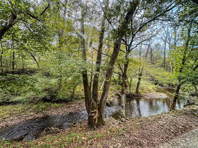 390 Pinebark Ln, Murphy, NC 28906 - water view