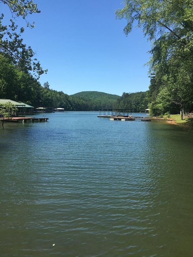 water view featuring a floating dock and a forest view