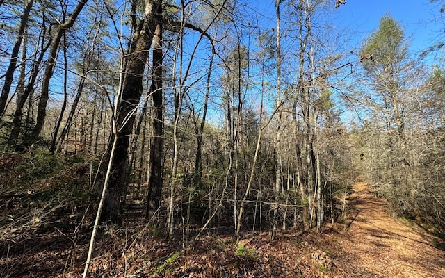 Listing photo 3 for 0 Mill Creek Acres, Blue Ridge GA 30513