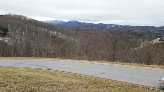 Listing photo 2 for LOT15 Summit Trce, Blairsville GA 30512