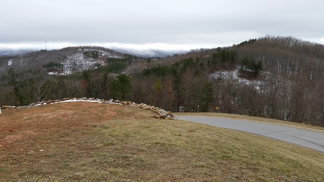 Listing photo 3 for LOT15 Summit Trce, Blairsville GA 30512