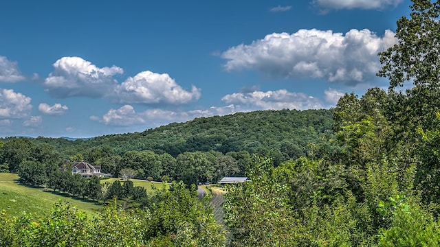 bird's eye view with a forest view and a rural view